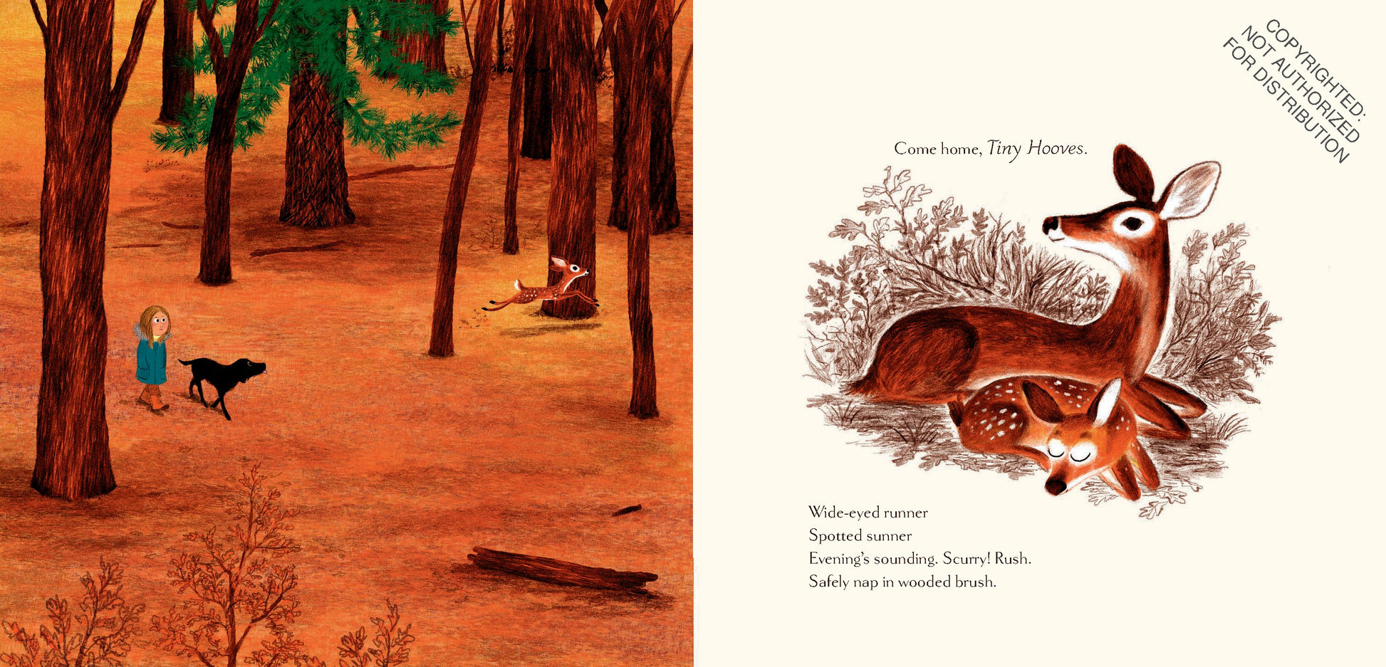 Woodland Dreams | Hardcover