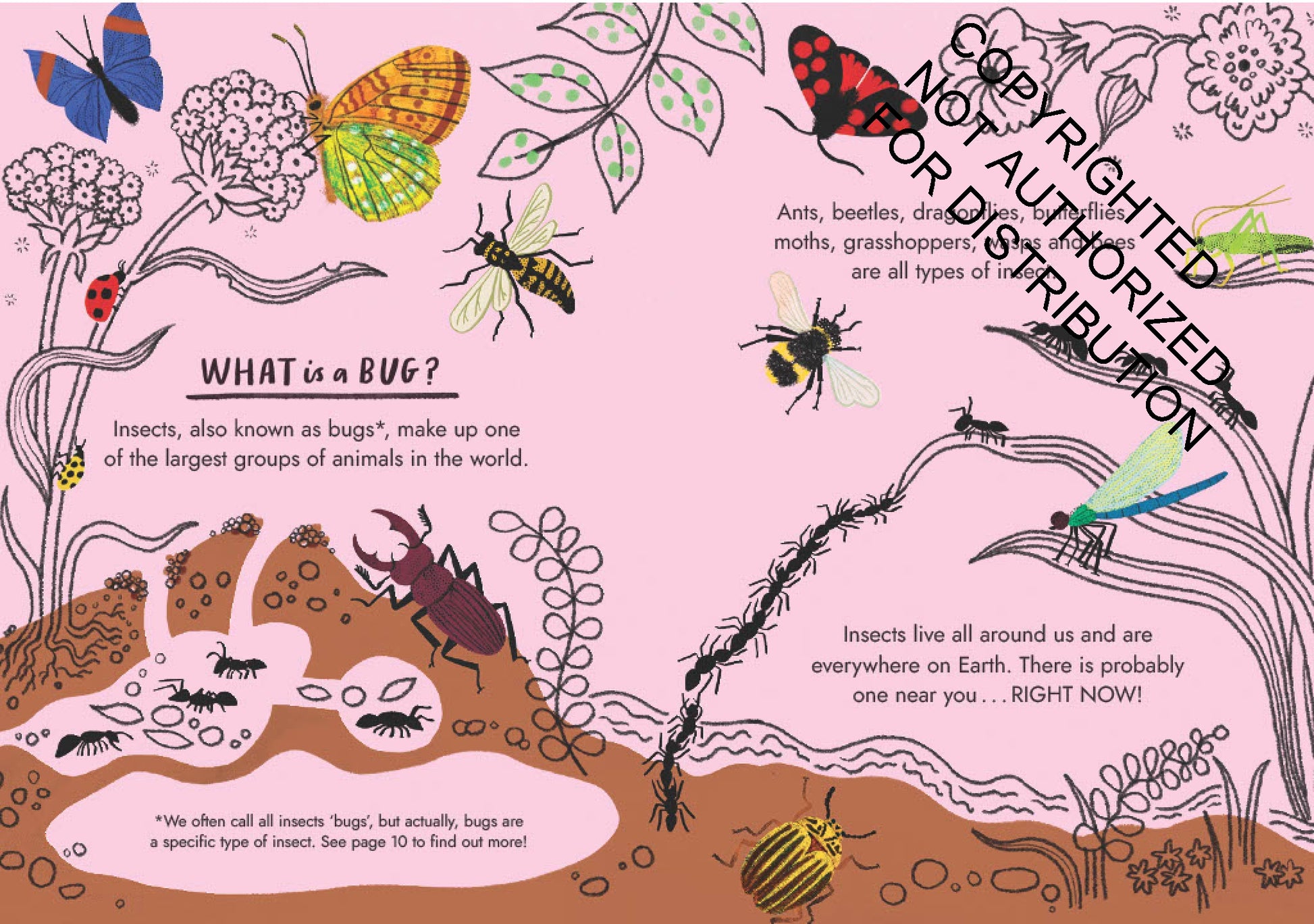 Little Guides to Nature: Hello Bugs | Hardcover