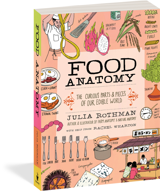 Food Anatomy The Curious Parts & Pieces of Our Edible World  |  Paperback