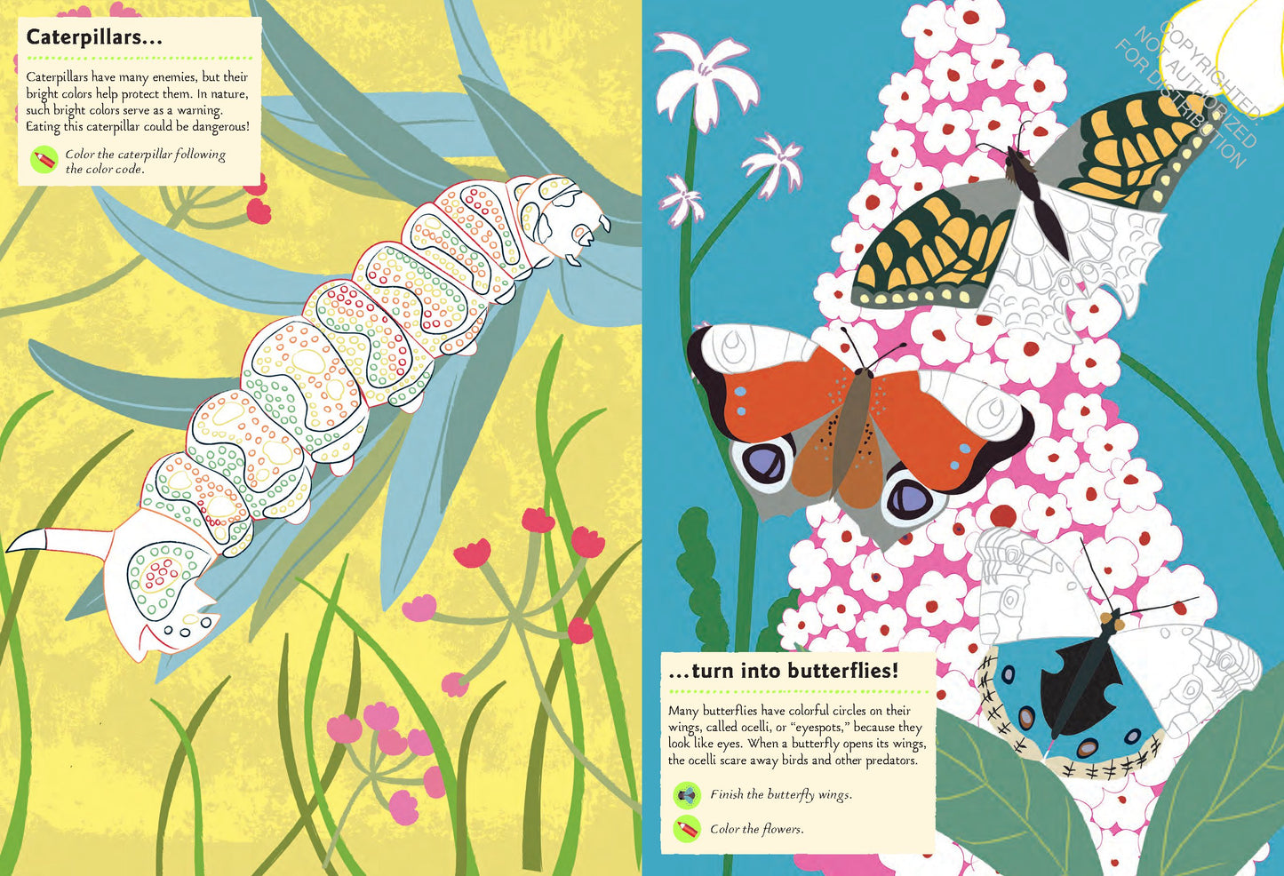 Garden Insects and Bugs: My Nature Sticker Activity Book | Activity Book