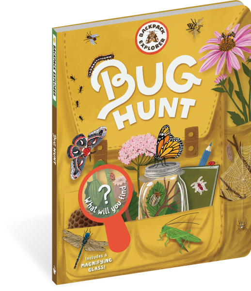 Backpack Explorer: Bug Hunt