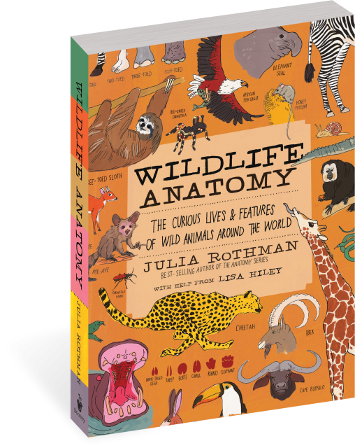 Wildlife Anatomy The Curious Lives & Features of Wild Animals around the World  |  Paperback