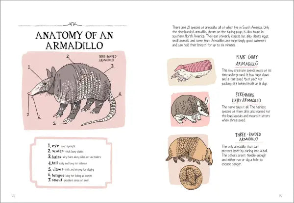 Wildlife Anatomy The Curious Lives & Features of Wild Animals around the World  |  Paperback