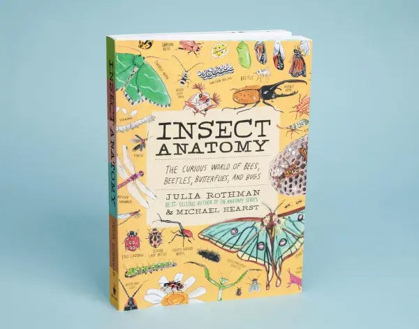Insect Anatomy The Curious World of Bees, Beetles, Butterflies, and Bugs  |  Paperback