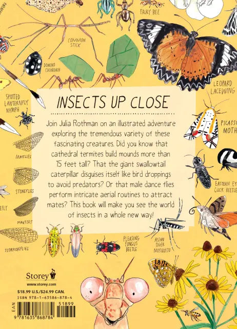 Insect Anatomy The Curious World of Bees, Beetles, Butterflies, and Bugs  |  Paperback