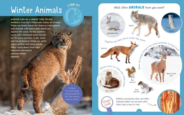 Backpack Explorer: Winter Walk | Activity Book