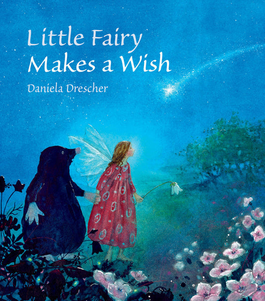 Little Fairy Makes a Wish | Hardcover