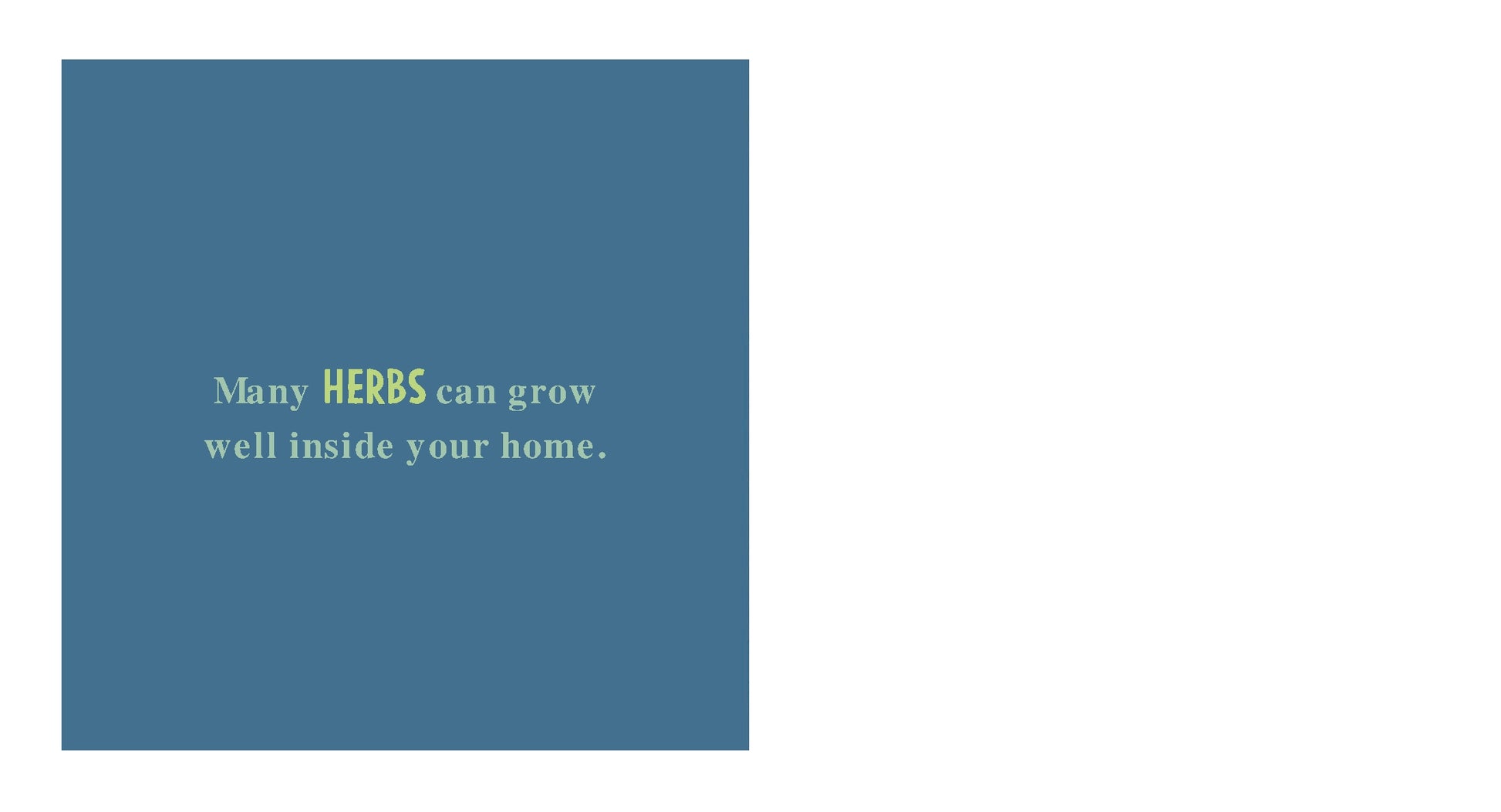 My First Book of Growing Food | Boardbook