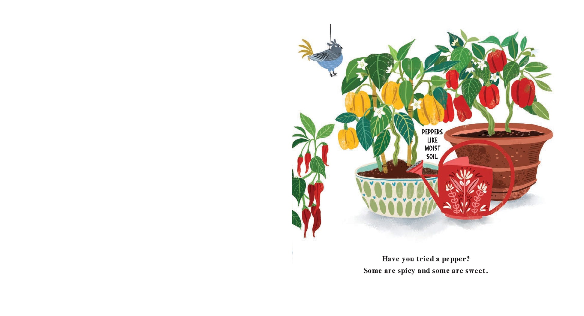 My First Book of Growing Food | BoardbookMy First Book of Growing Food | Boardbook