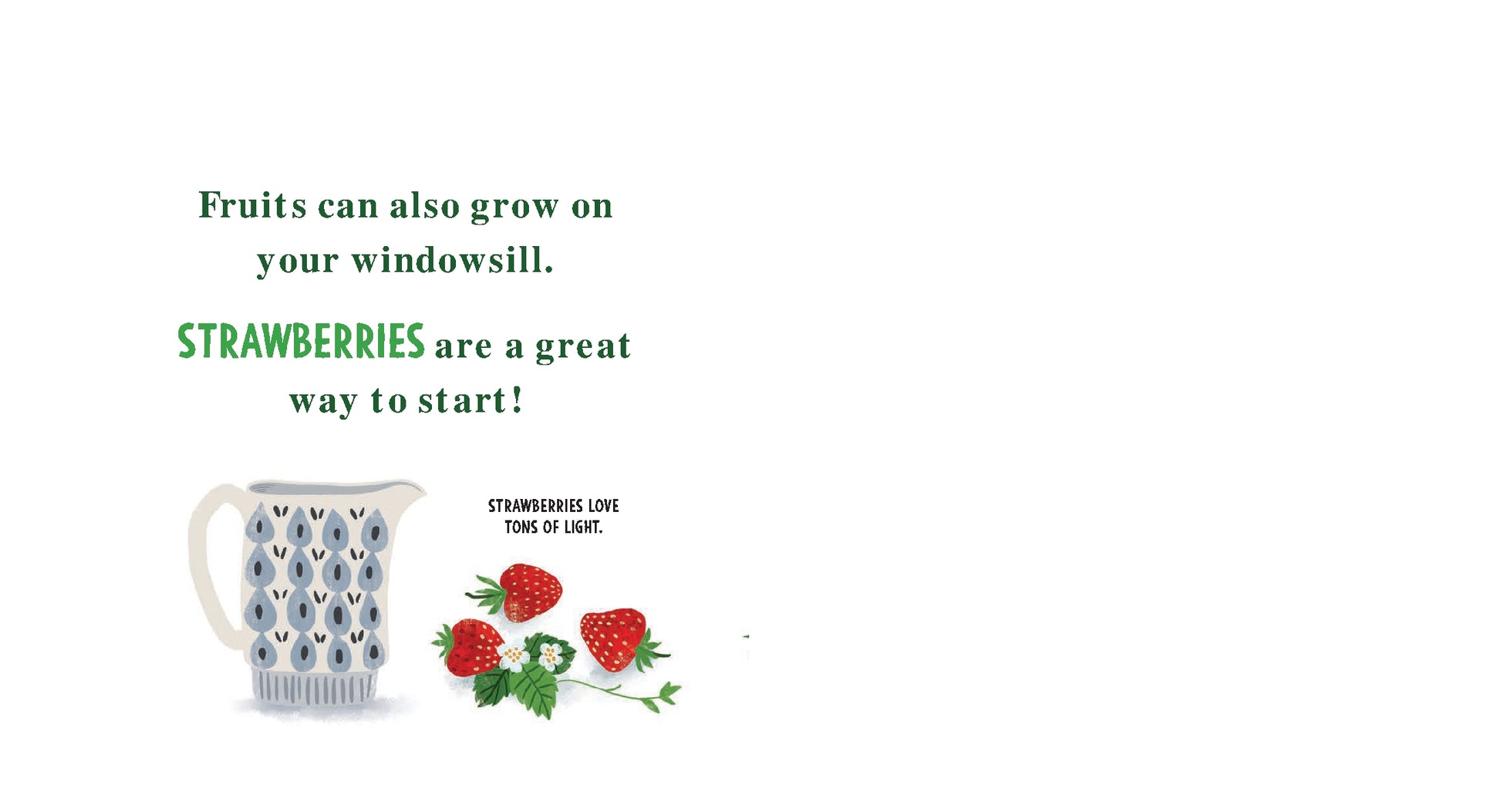 My First Book of Growing Food | Boardbook