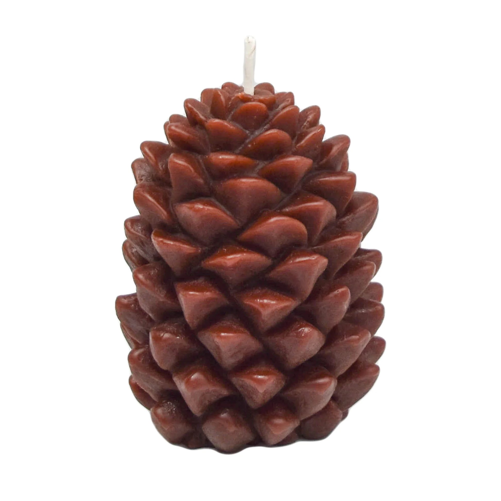 Brown Beeswax Ponderosa Pine Cone Candle