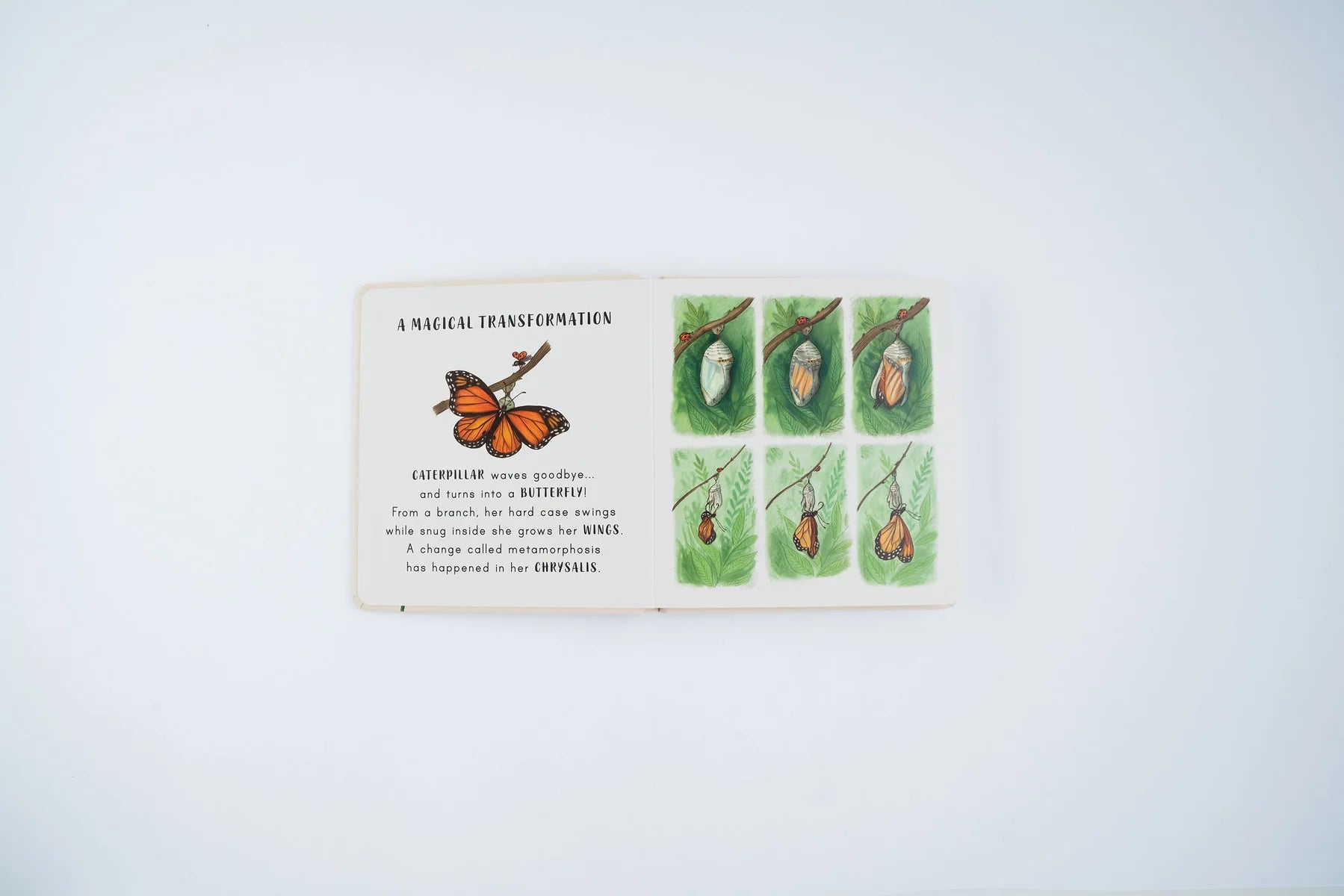 Slow Down . . . on Your Doorstep: Calming Nature Stories for Little Ones | Boardbook