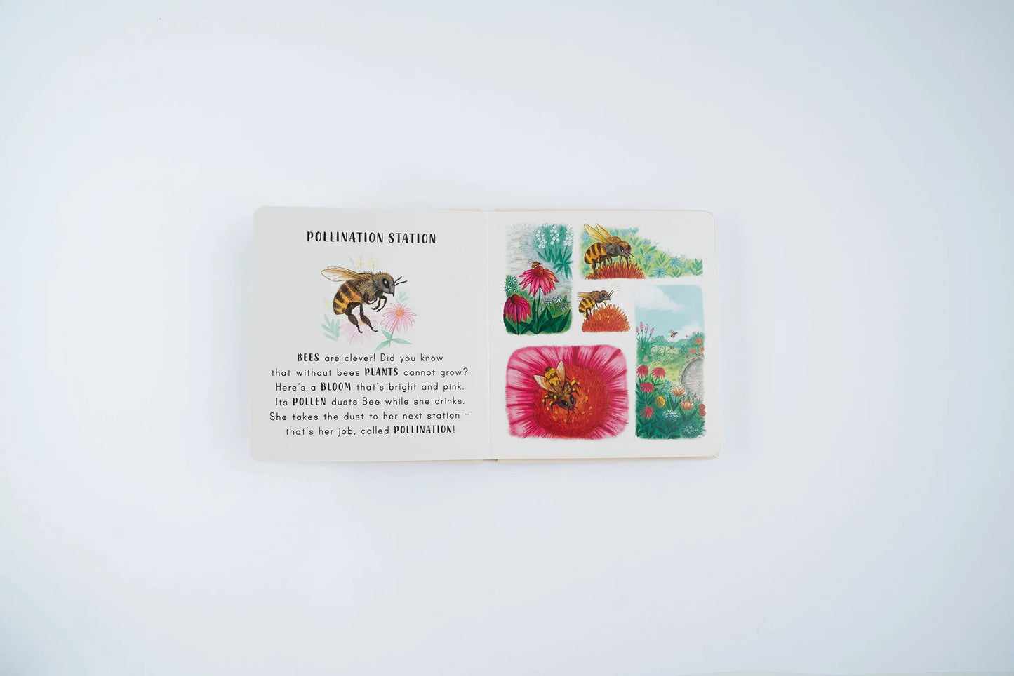 Slow Down . . . on Your Doorstep: Calming Nature Stories for Little Ones | Boardbook