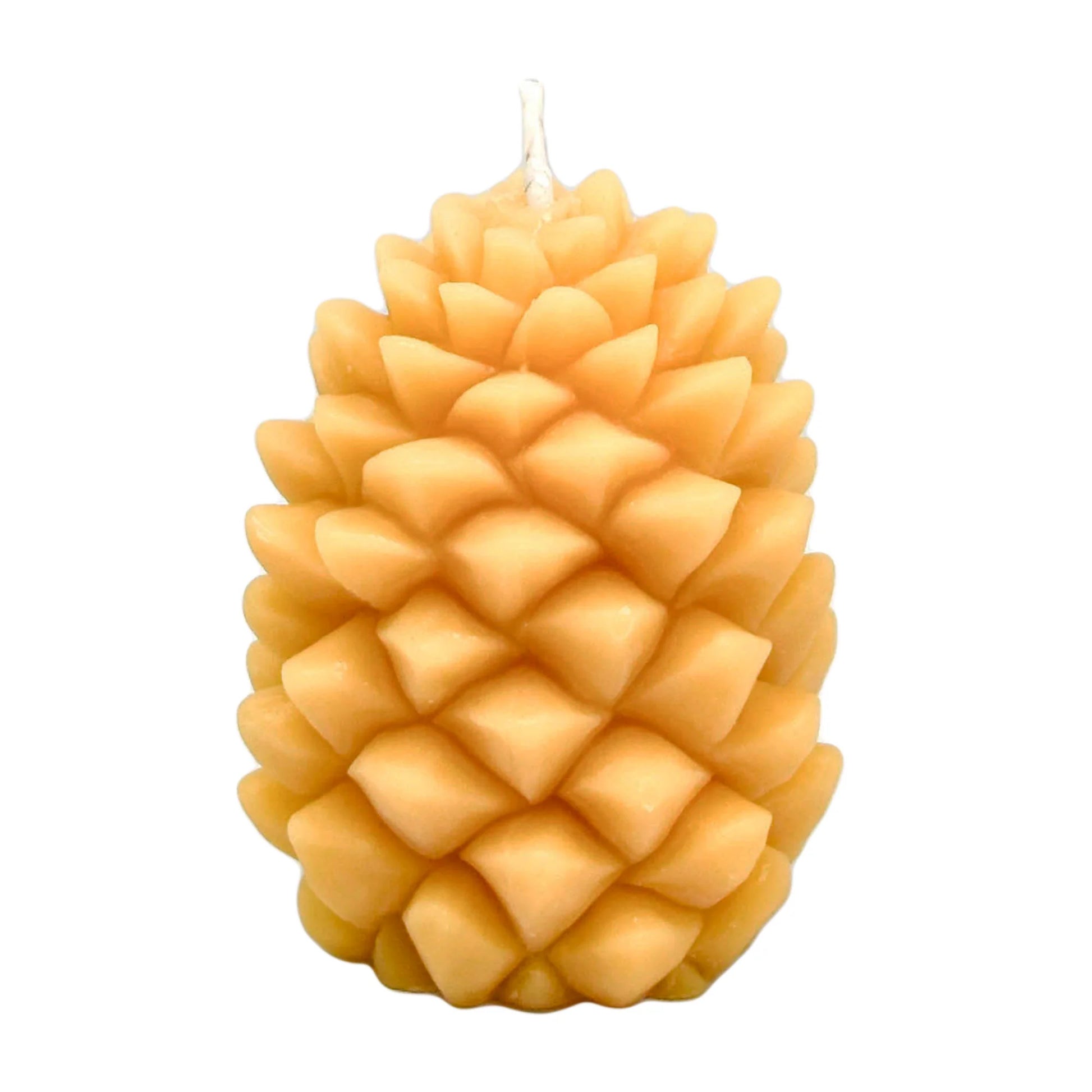 Natural Beeswax Ponderosa Pine Cone Candle