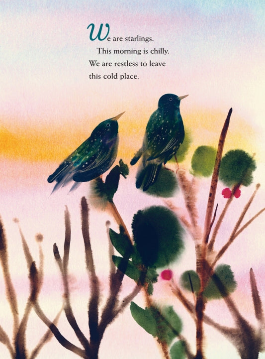 We Are Starlings | Hardcover