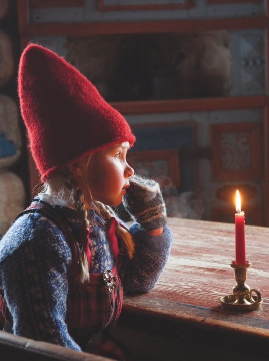 The Reindeer Wish | Hardcover