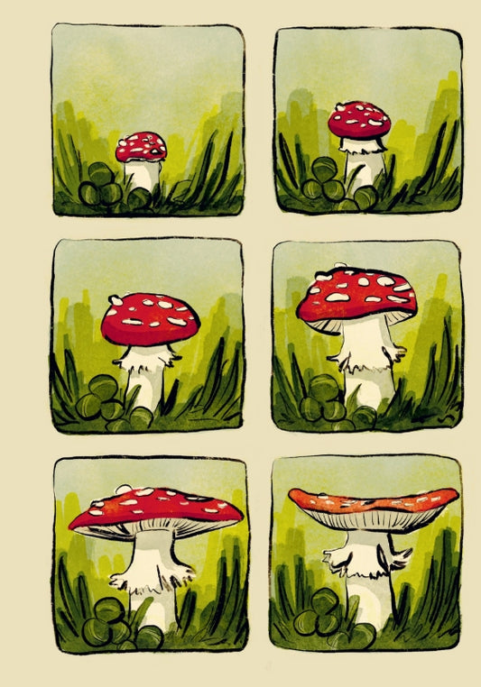 The Newest Gnome | Hardcover