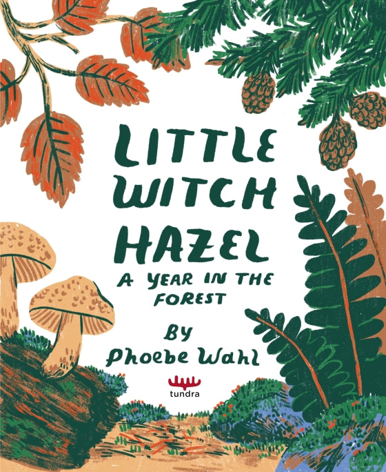 Little Witch Hazel: A Year in the Forest | Hardcover GIFT EDITION