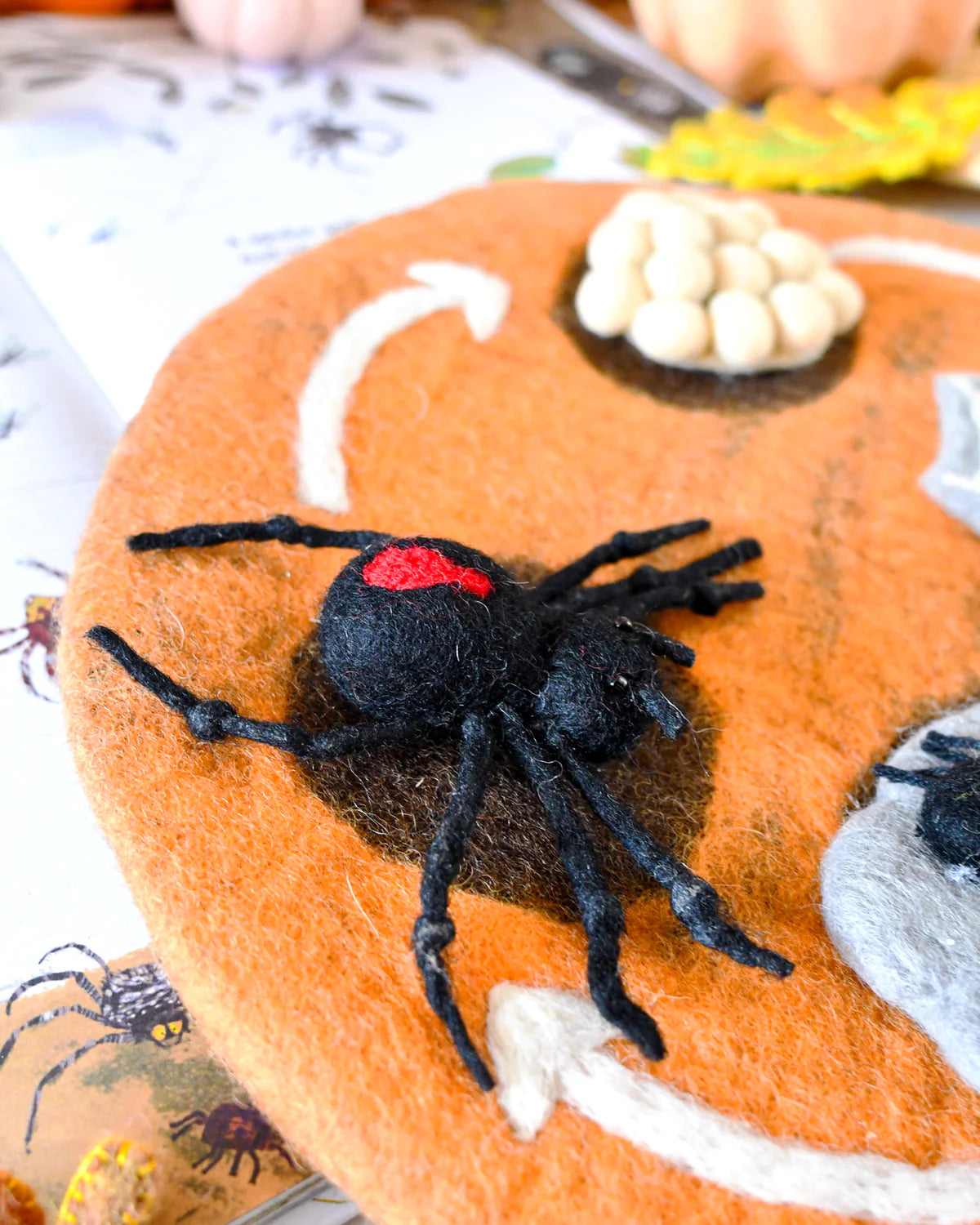 Felt Lifecycle of Redback Spider