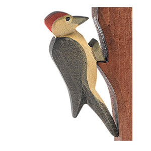 Ostheimer Bird - Woodpecker