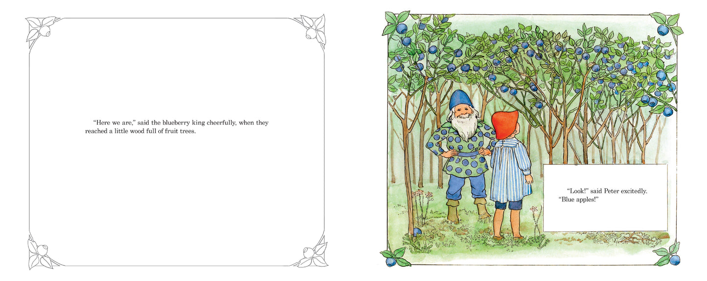 Peter in Blueberry Land | Hardcover