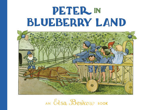 Peter in Blueberry Land | Hardcover