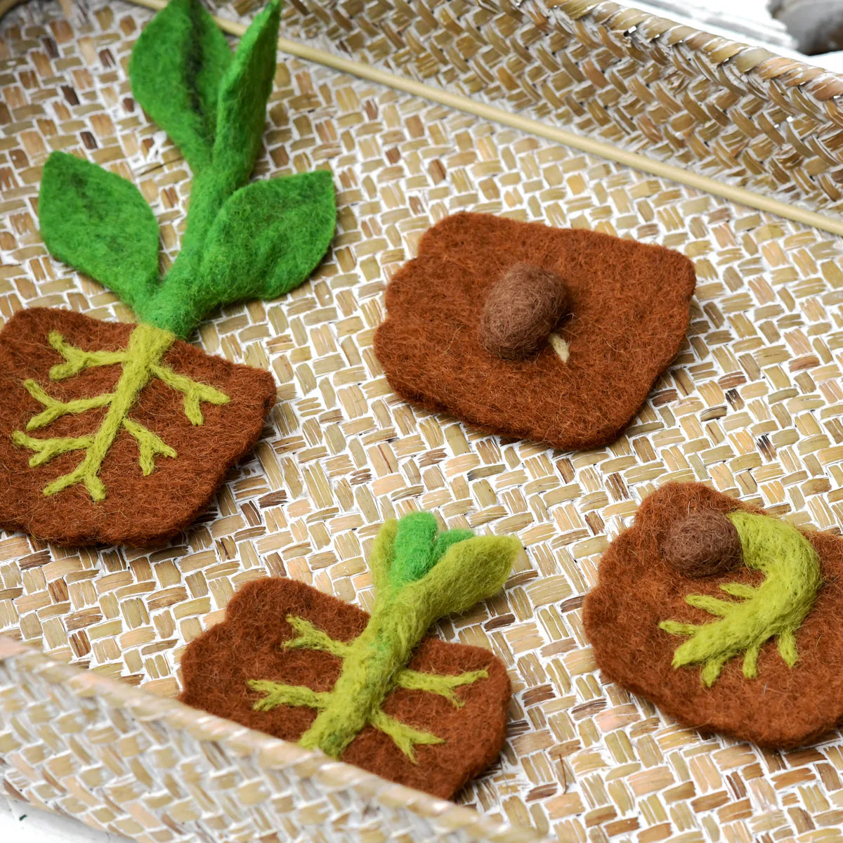 Felt Lifecycle of Bean Plant (mat sold separately)