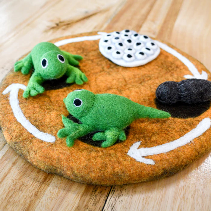 Felt Lifecycle of a Frog (playmat sold separately)