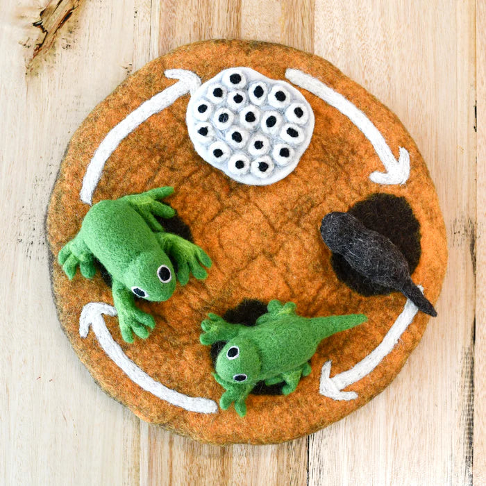 Felt Lifecycle of a Frog (playmat sold separately)