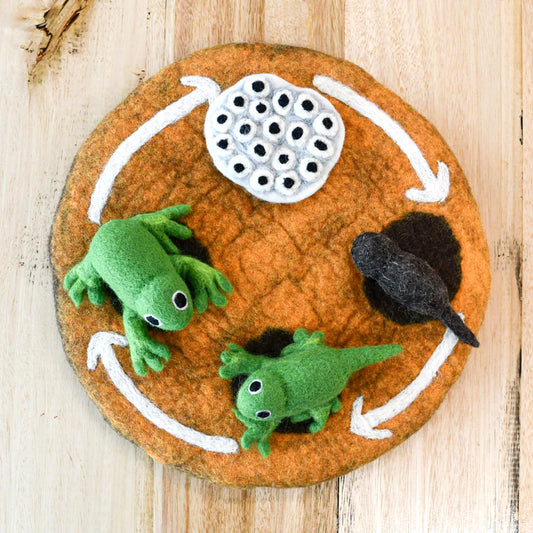 Felt Lifecycle of a Frog (playmat sold separately)