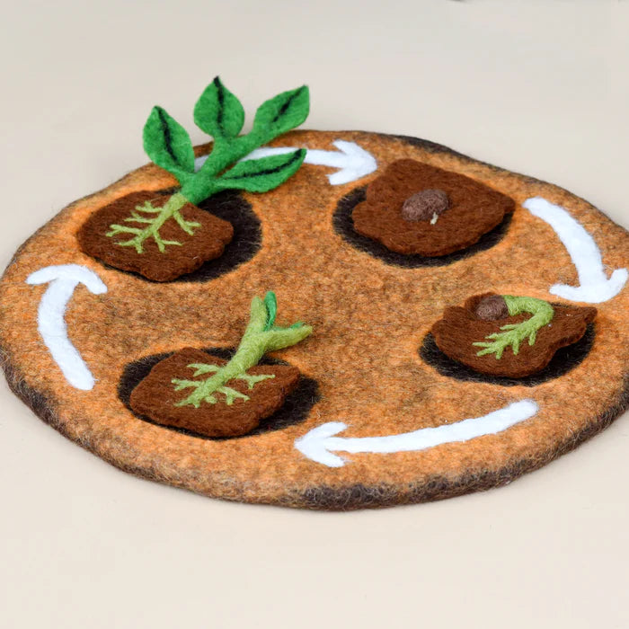 Felt Lifecycle of Bean Plant (mat sold separately)