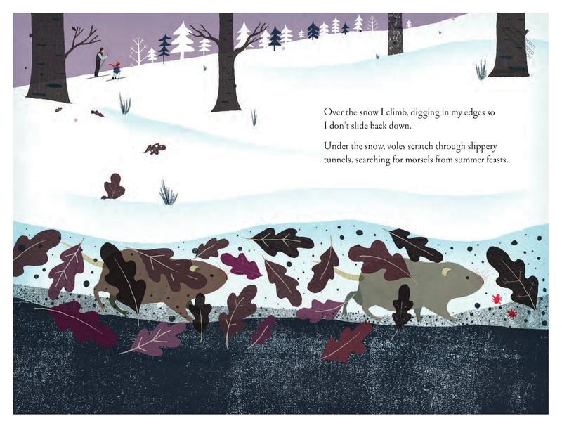 Over and Under the Snow | Paperback