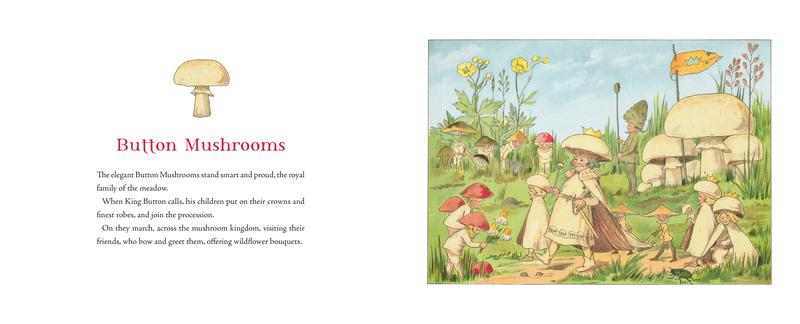 Tales of the Mushroom Folk | Hardcover