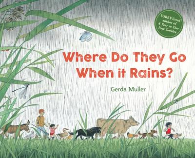 Where Do They Go When It Rains? | Hardcover