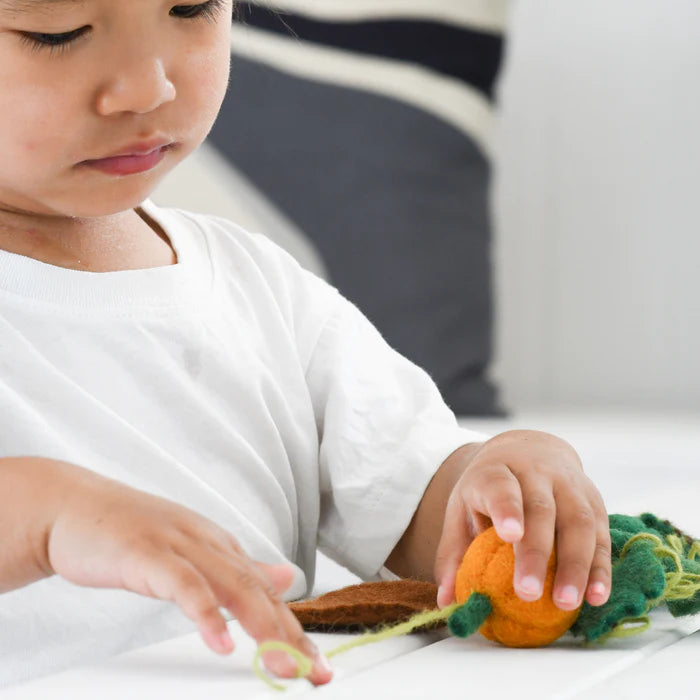 Felt Lifecycle of Pumpkin (mat sold separately)