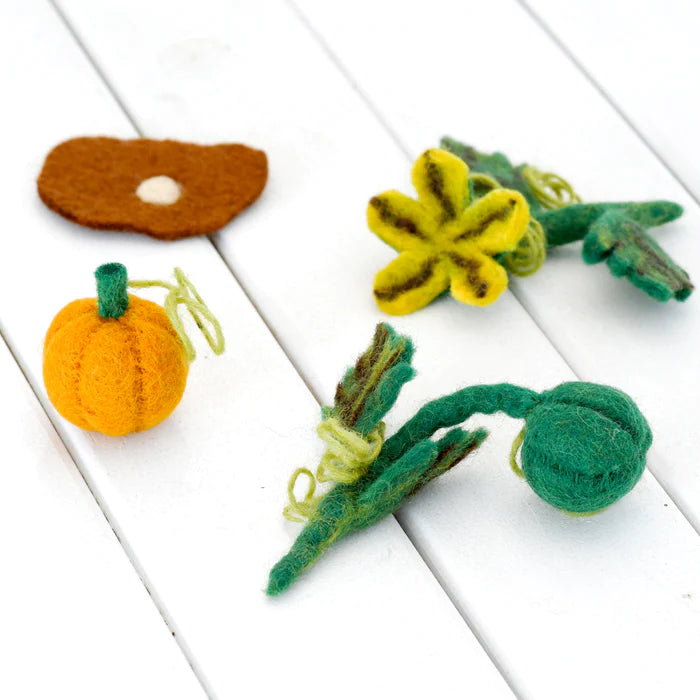 Felt Lifecycle of Pumpkin (mat sold separately)