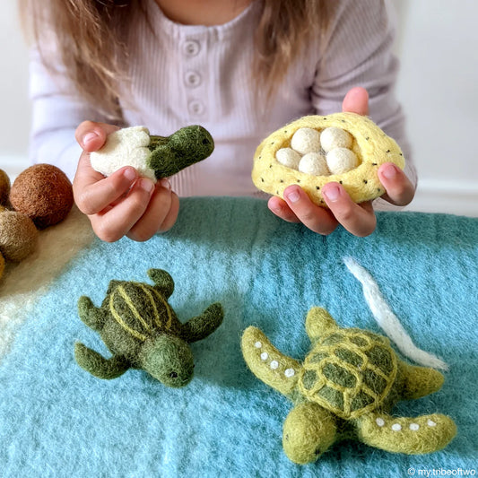 Felt Lifecycle of Green Sea Turtle (playmat sold separately)
